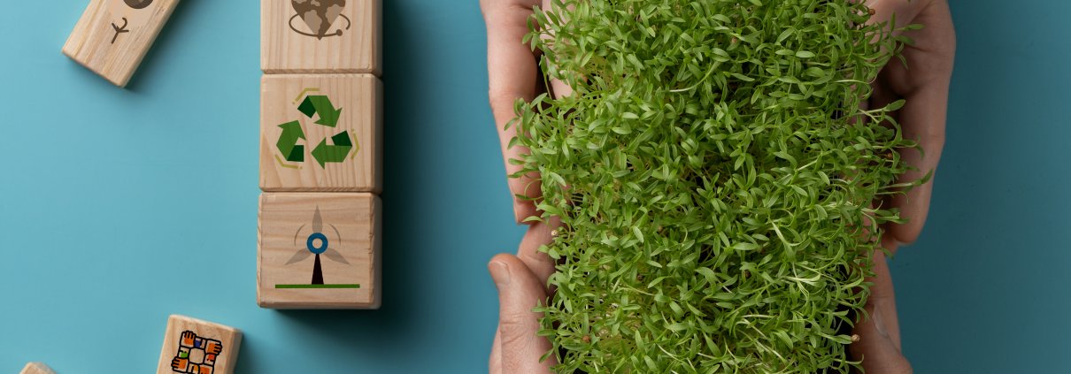 ISO 140012026