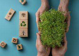 ISO 140012026