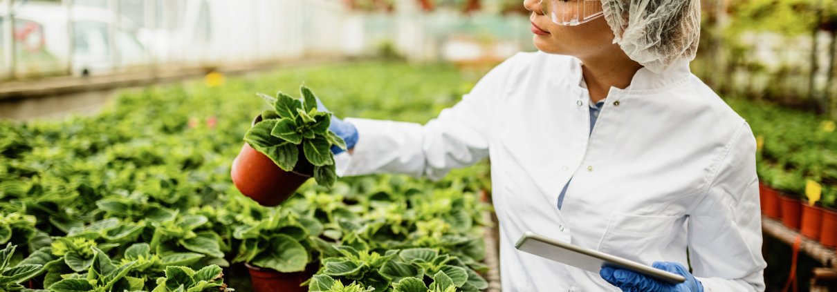 steps to get haccp certification