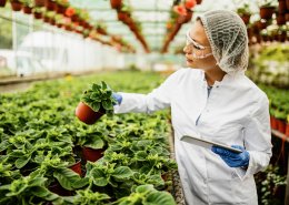 steps to get haccp certification