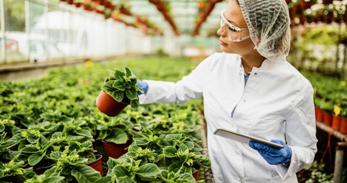 steps to get haccp certification