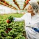 steps to get haccp certification